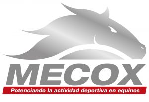 Logo metálico con fondo